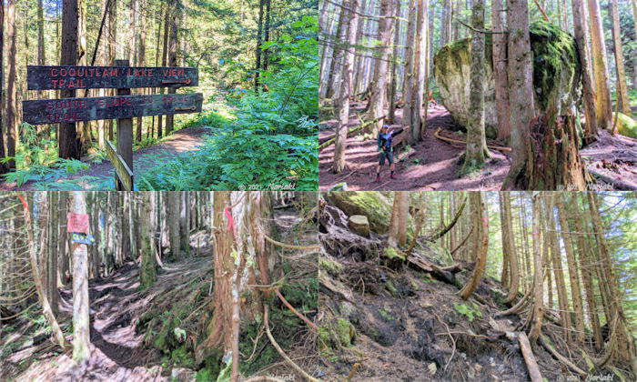 コキットラムレイクビュートレイルの横に見える大きな岩とトレイルの様子　写真4枚