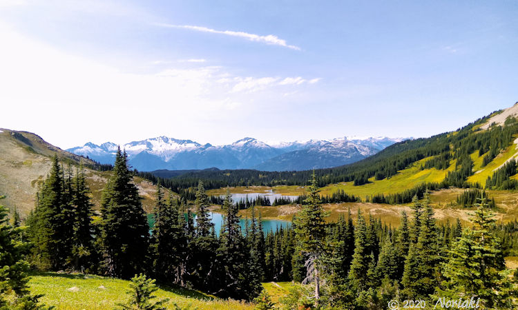 標高1830mから見える Helm Creek、U字谷っぽくウィスラー方面が向こうに見えます。