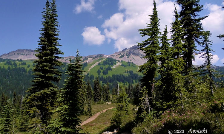 標高1830mから見える Helm Creek、U字谷っぽくウィスラー方面が向こうに見えます。