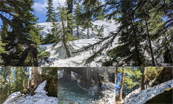 ファーストレイク