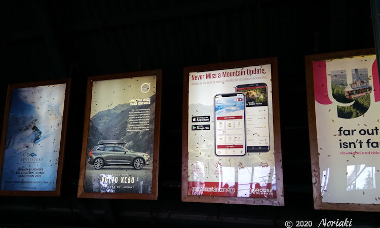 広告用　電気照明看板に大量の蛾が張り付いている画像