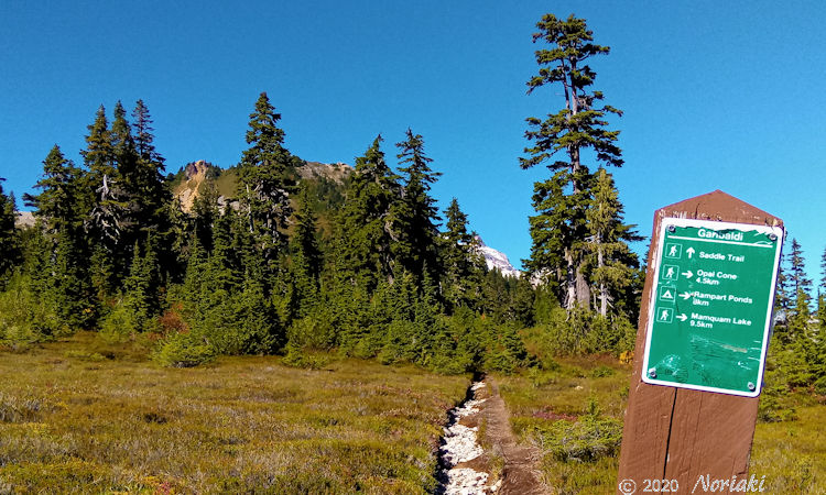 Elfin Lakes エルフィンレイクシェルター付近トレイルにある分岐点表示の画像