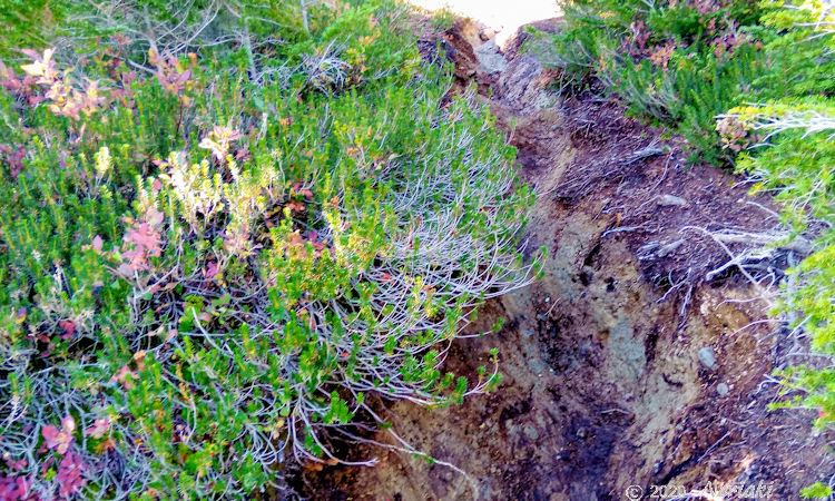 水の流れた後がトレイルで非常に歩きにくい画像