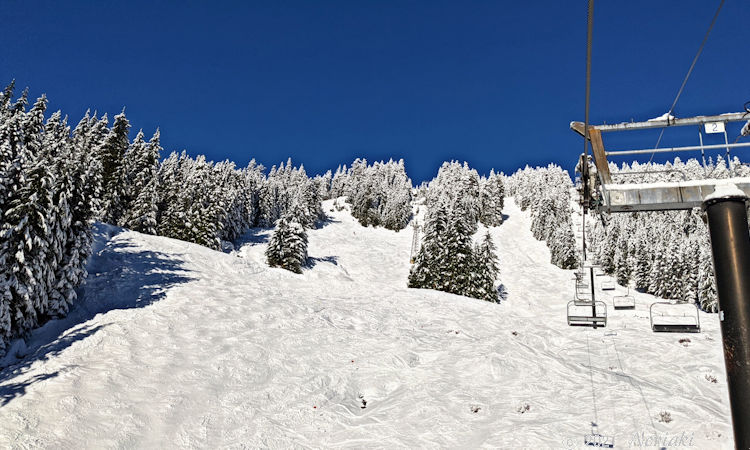Olympic Express Chair リフト横にある圧雪をしないInfernoとHadesを下から見上げた景色
