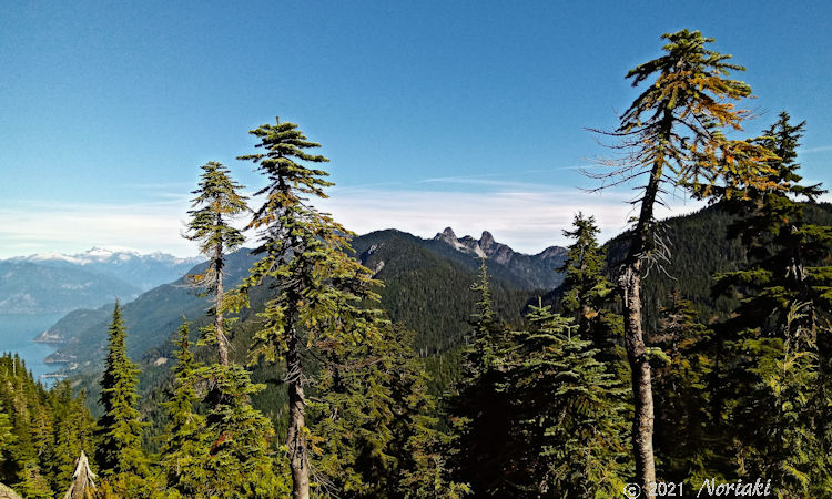 ノースブラックマウンテンからの景色　ライオンズやガルバルディ山が見える
