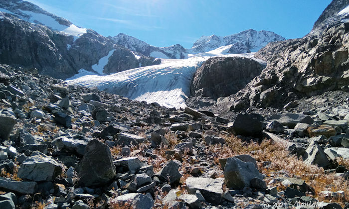氷河が流れ出している状態を確認できる画像