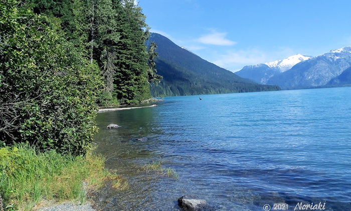 夏のチェカマスレイク Cheakamus Lake の景色