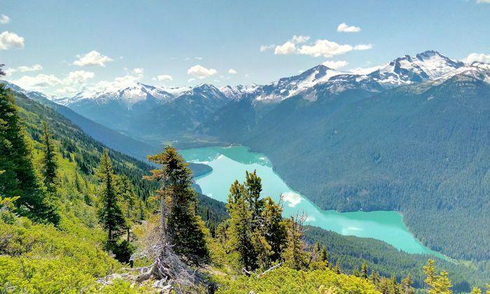 夏ウィスラー山ハイノートトレイルから見えるチェカマスレイクの景色