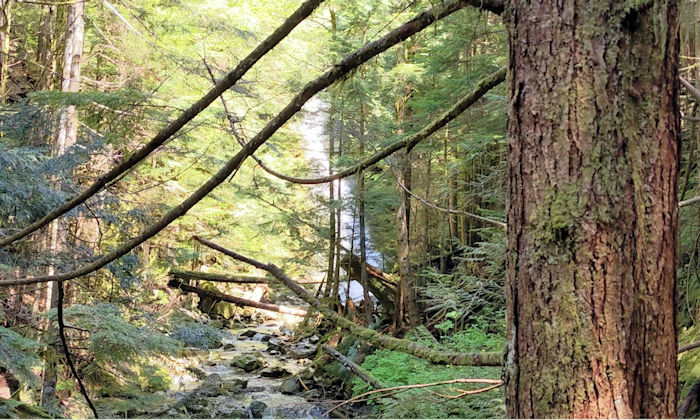 ソーブレイド滝の沢側に降りた滝の景色