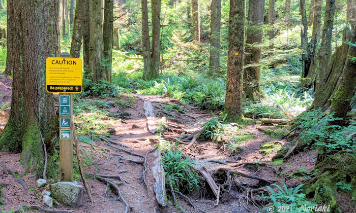 リーンピークルート Lynn Peak Route のサイン