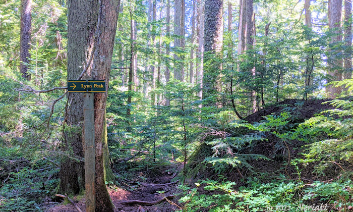 リーンピーク Lynn Peak 展望台へのサイン