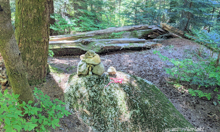 ソーブレイド滝の沢側に降りた滝の景色