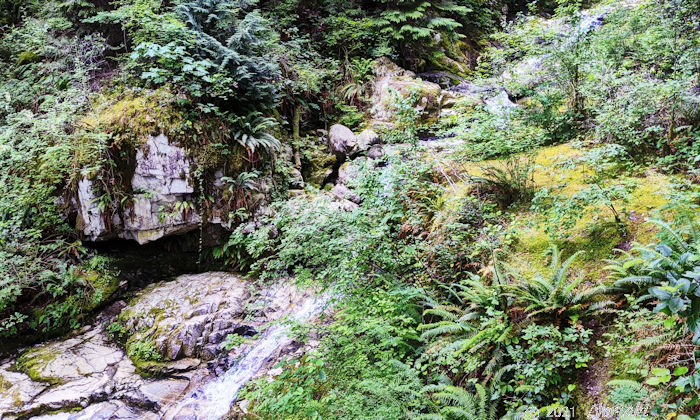 歩き始めてから10分ほどで小道にそれた滝