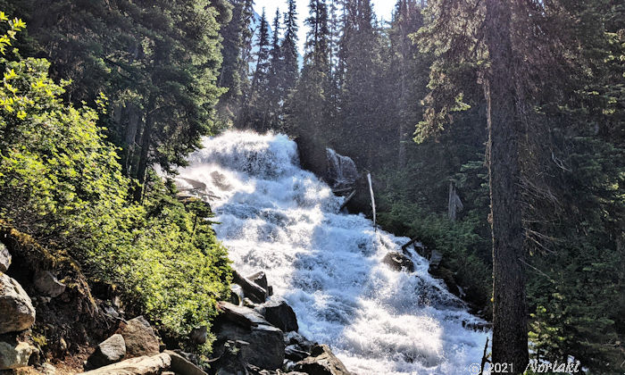 ミドルジョフレレイクとアッパージョフレレイク途中のホロウエィ滝 Holloway Falls