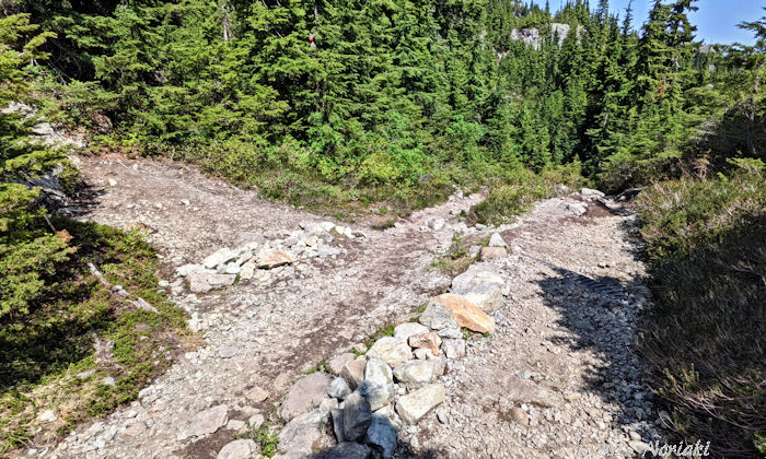 左のオールドマウントシーモアトレイルに行く分かれ小道