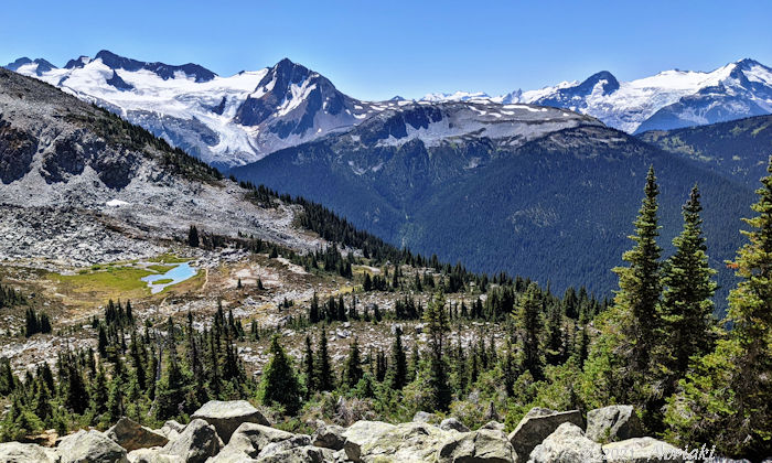 オーバーロード氷河、チェカマス氷河そしてデッカーターンのクライマックスの景色