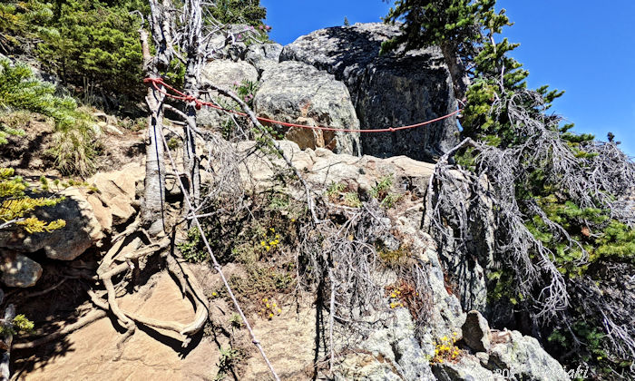 ロープをかけている急斜面のトレイル