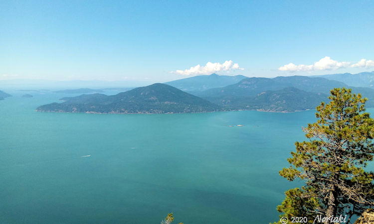 トンネルブラフスから海側の景色