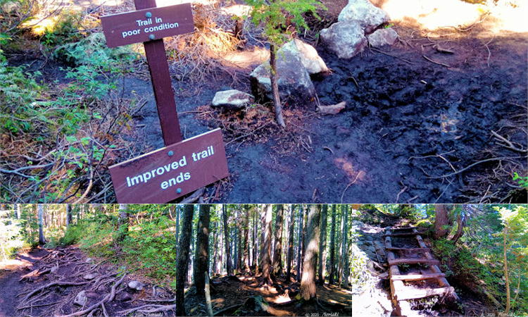 Trail in poor condition サインからラフなトレイルの景色