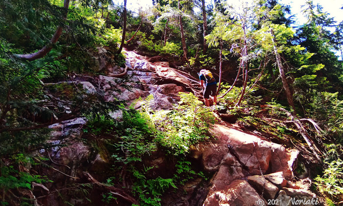 急勾配ツルツル岩　下り