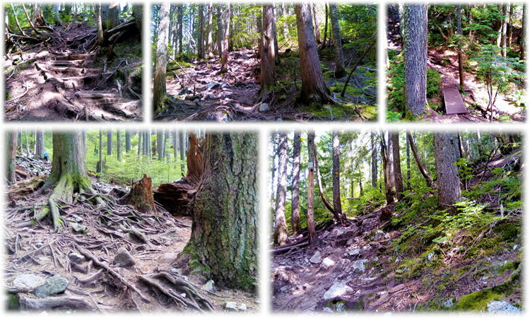 グラウス山のBCMCハイキングコースの画像５枚コンボ