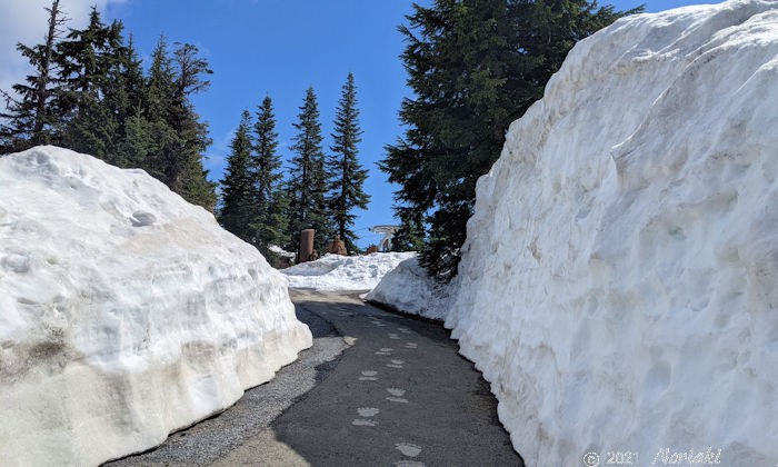 グリズリーベアー保護地区に行く途中のスノーウォール状態